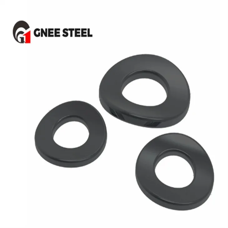 DIN42013 Wave Spring Lock Paplāksne